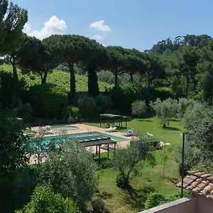 Frascati Apartment Grottaferrata
